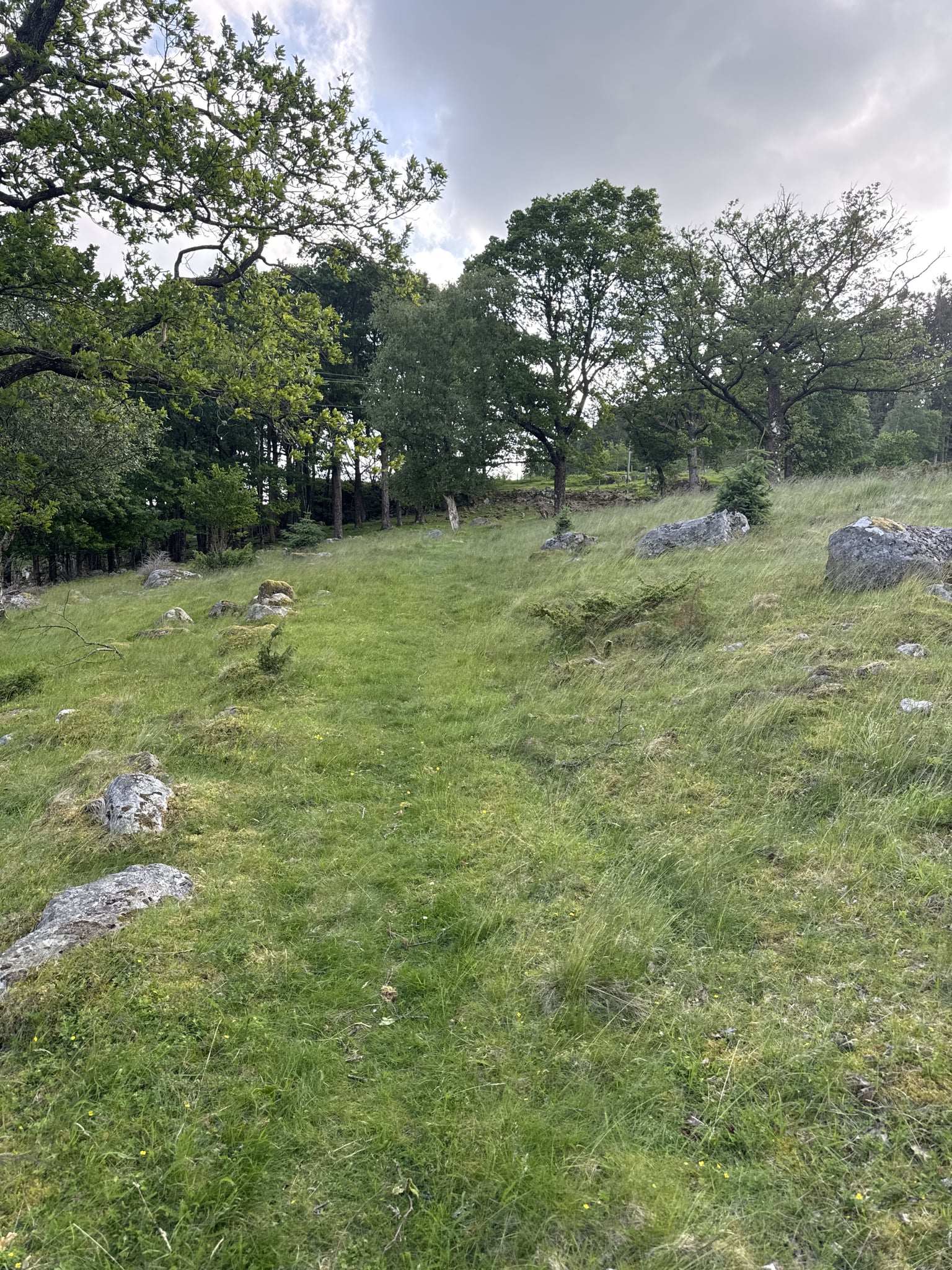 Gliben — foto 4 av 4