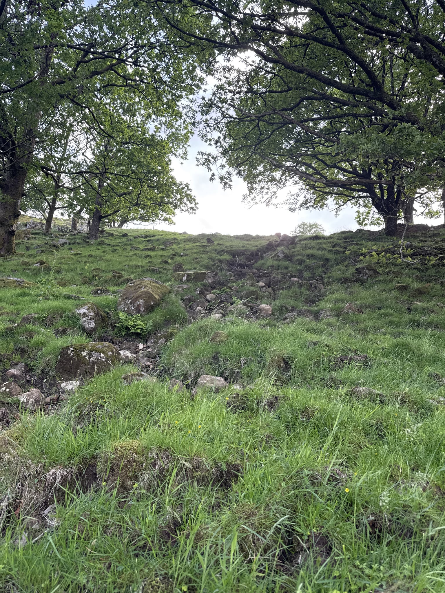 Gliben — foto 3 av 4