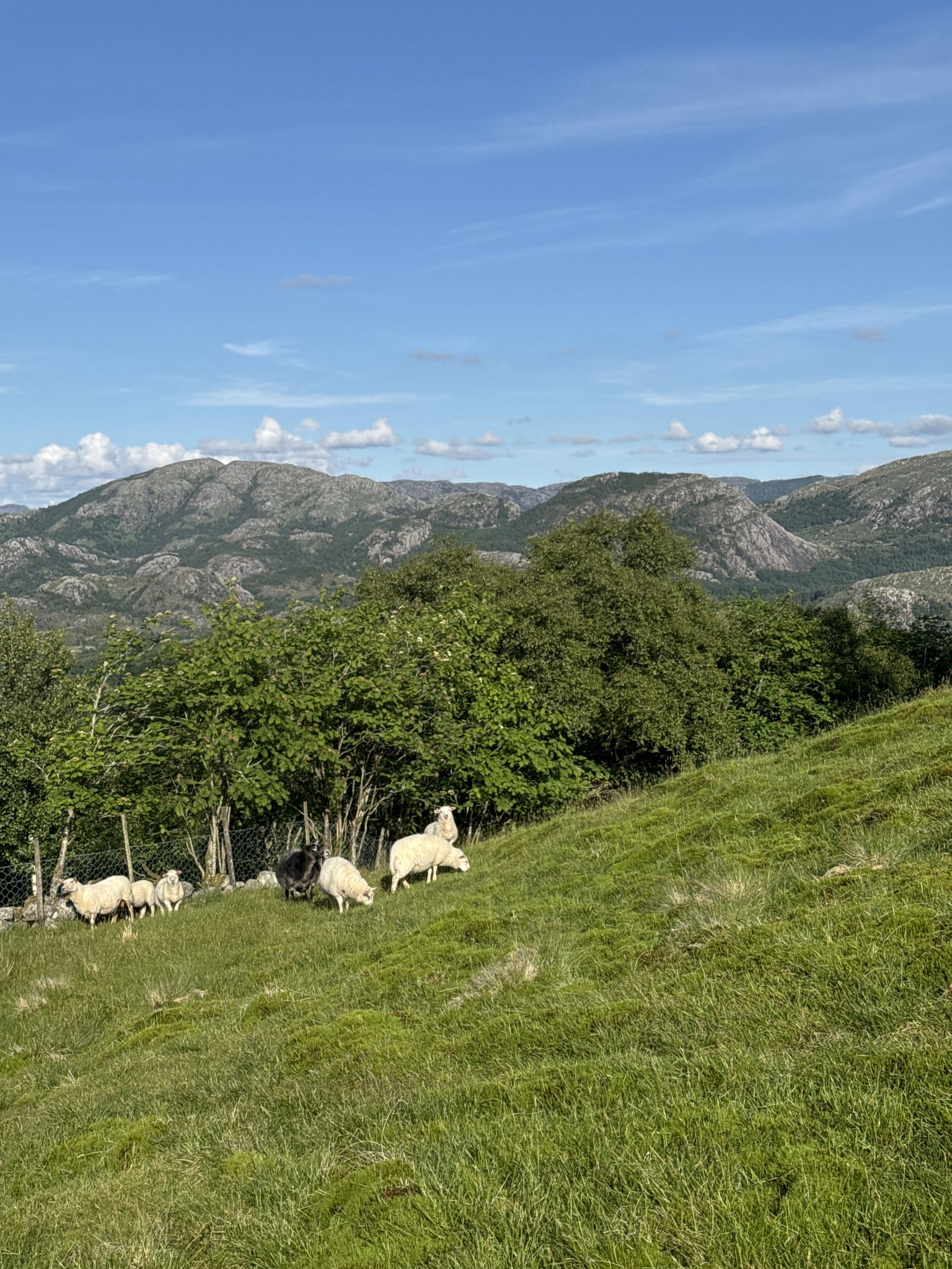 Hagafjellet — foto 3 av 4