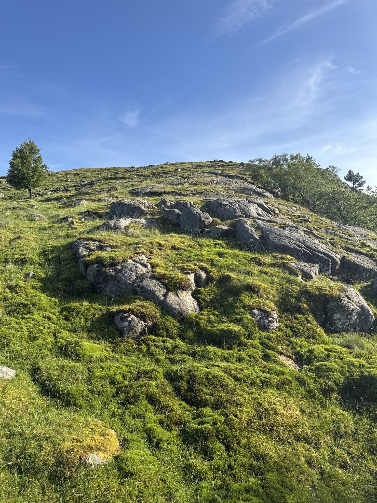 Hagafjellet — foto 4 av 4
