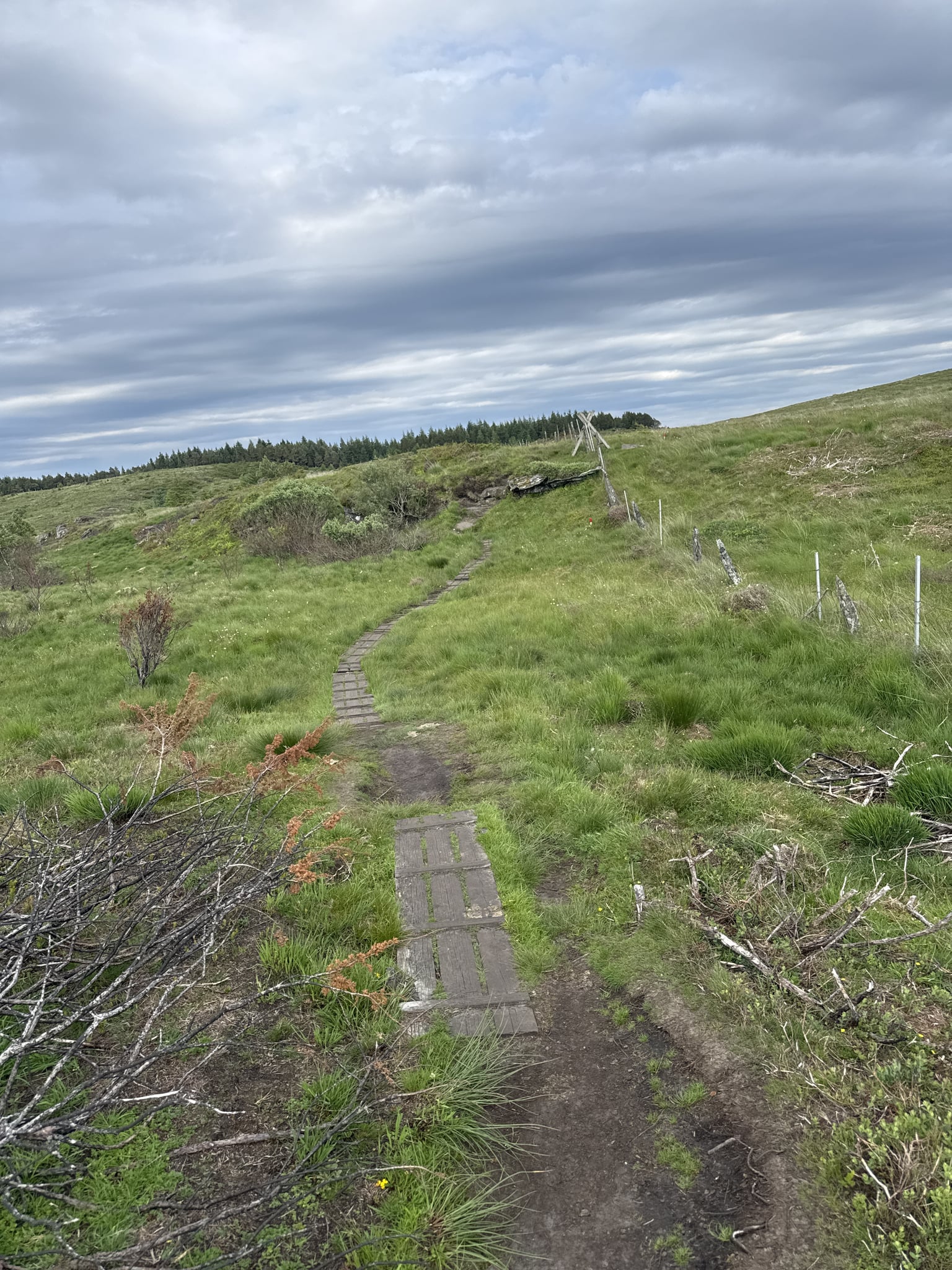Hodnafjellet — foto 3 av 4