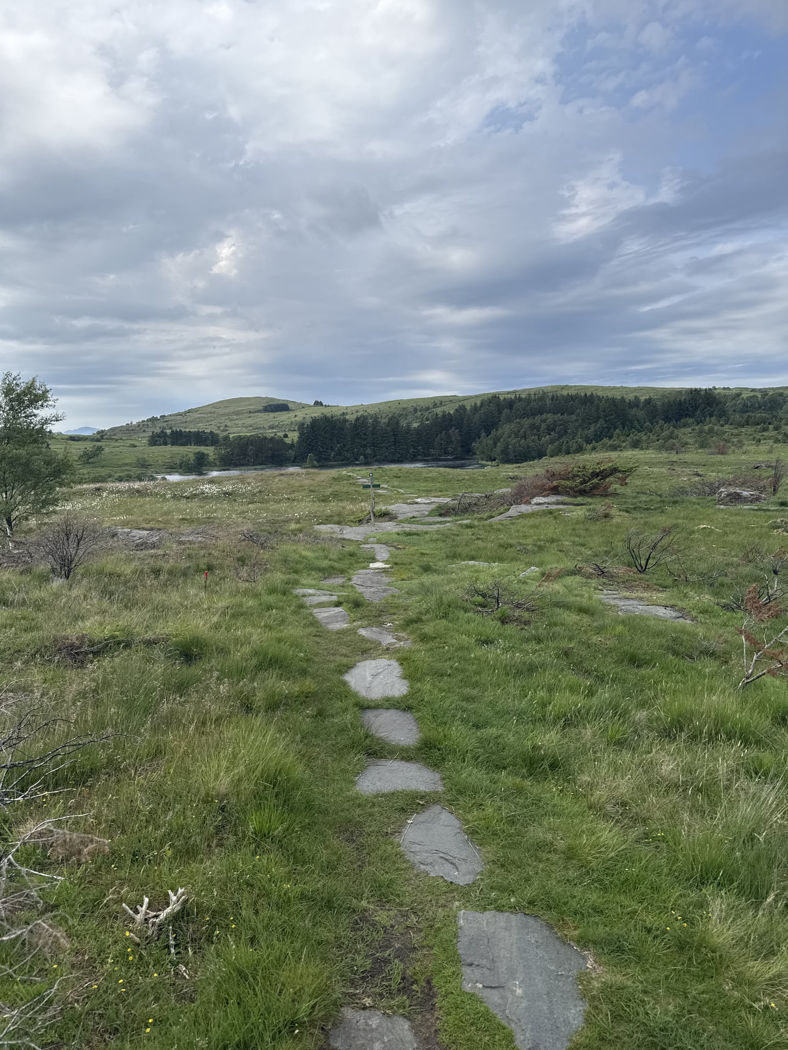 Hodnafjellet — foto 4 av 4