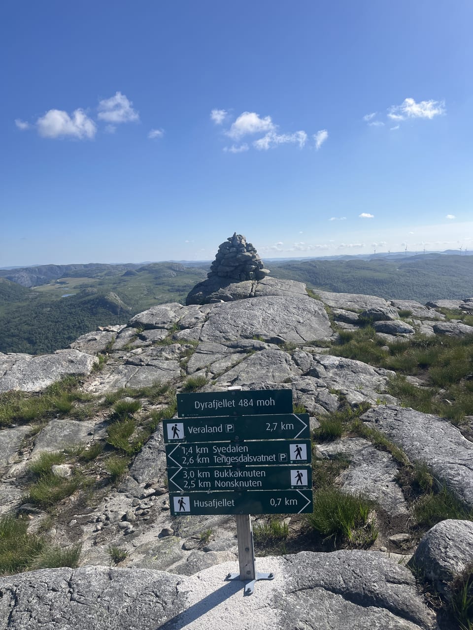 Dyrafjellet — foto