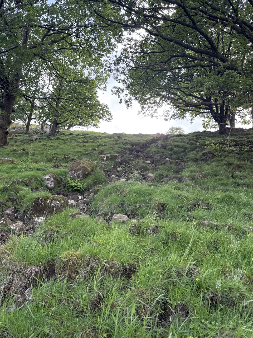 Gliben — foto