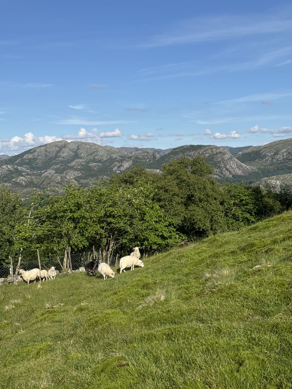 Hagafjellet — foto