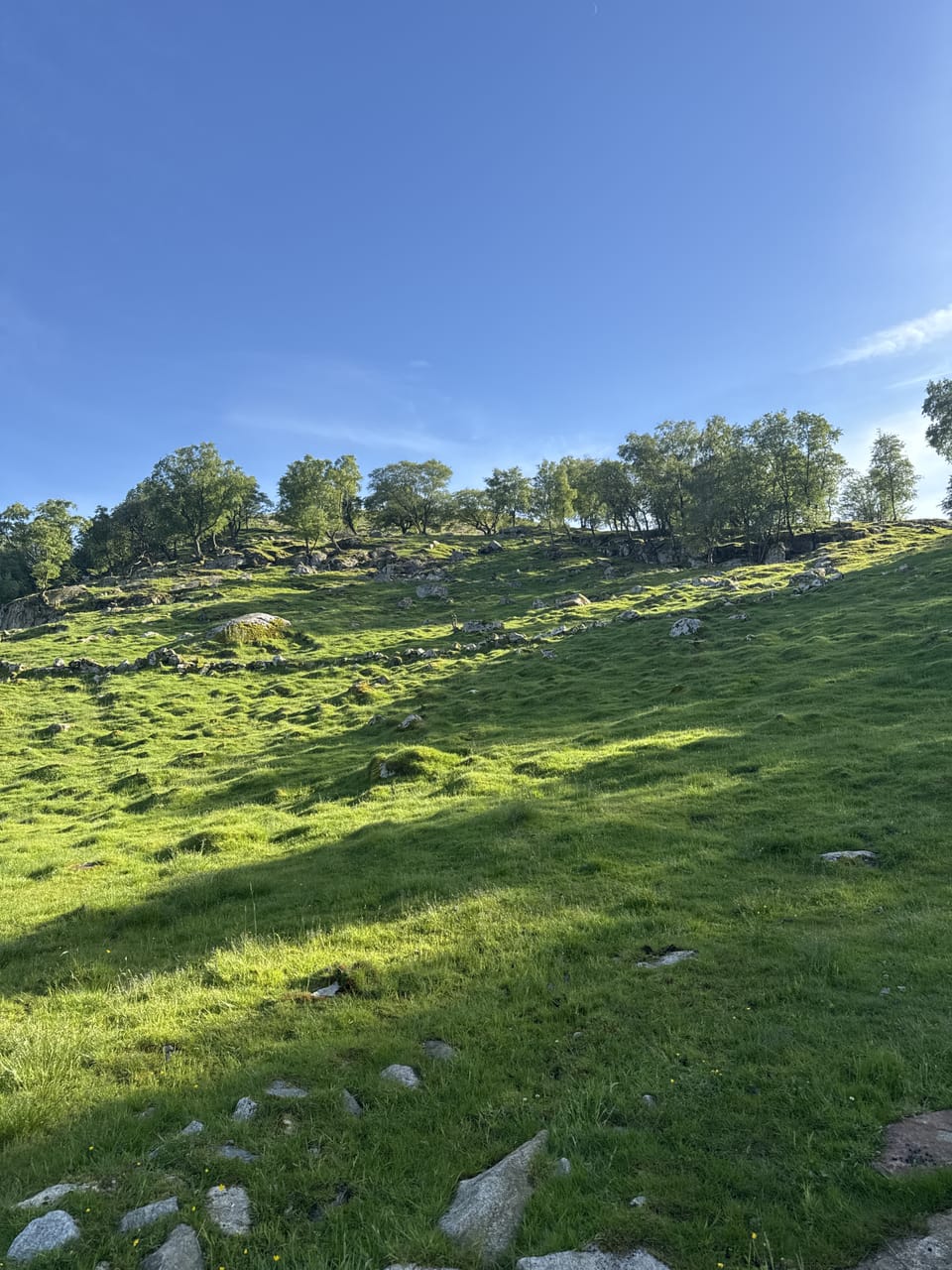 Hagafjellet — foto