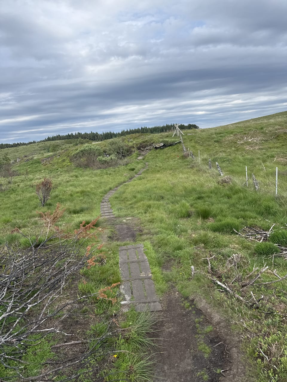 Hodnafjellet — foto