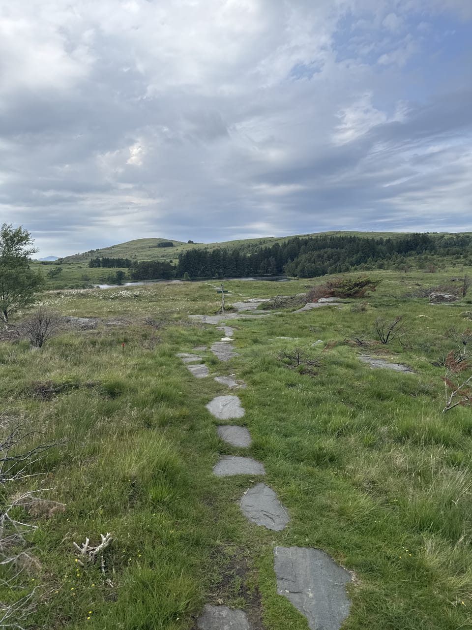 Hodnafjellet — foto
