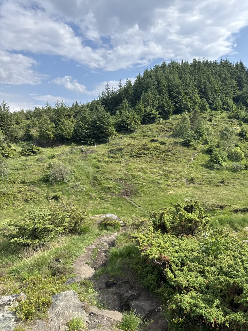 Hodnafjellet — foto